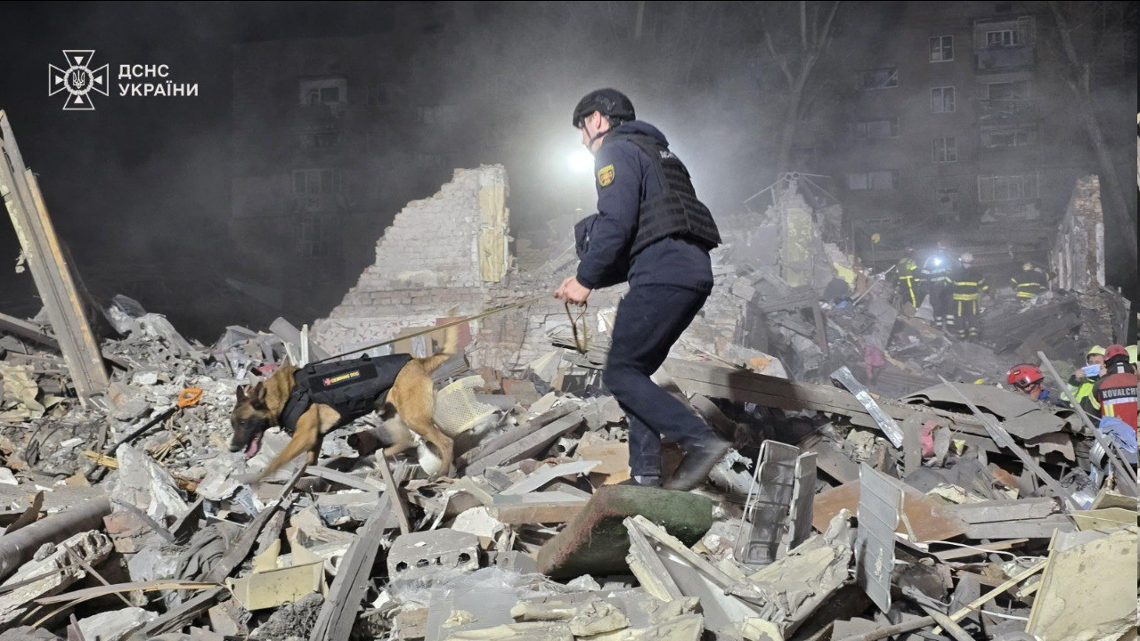 ДСНС залучила роботів і собак до рятувальних робіт у Києві — фото - фото 5