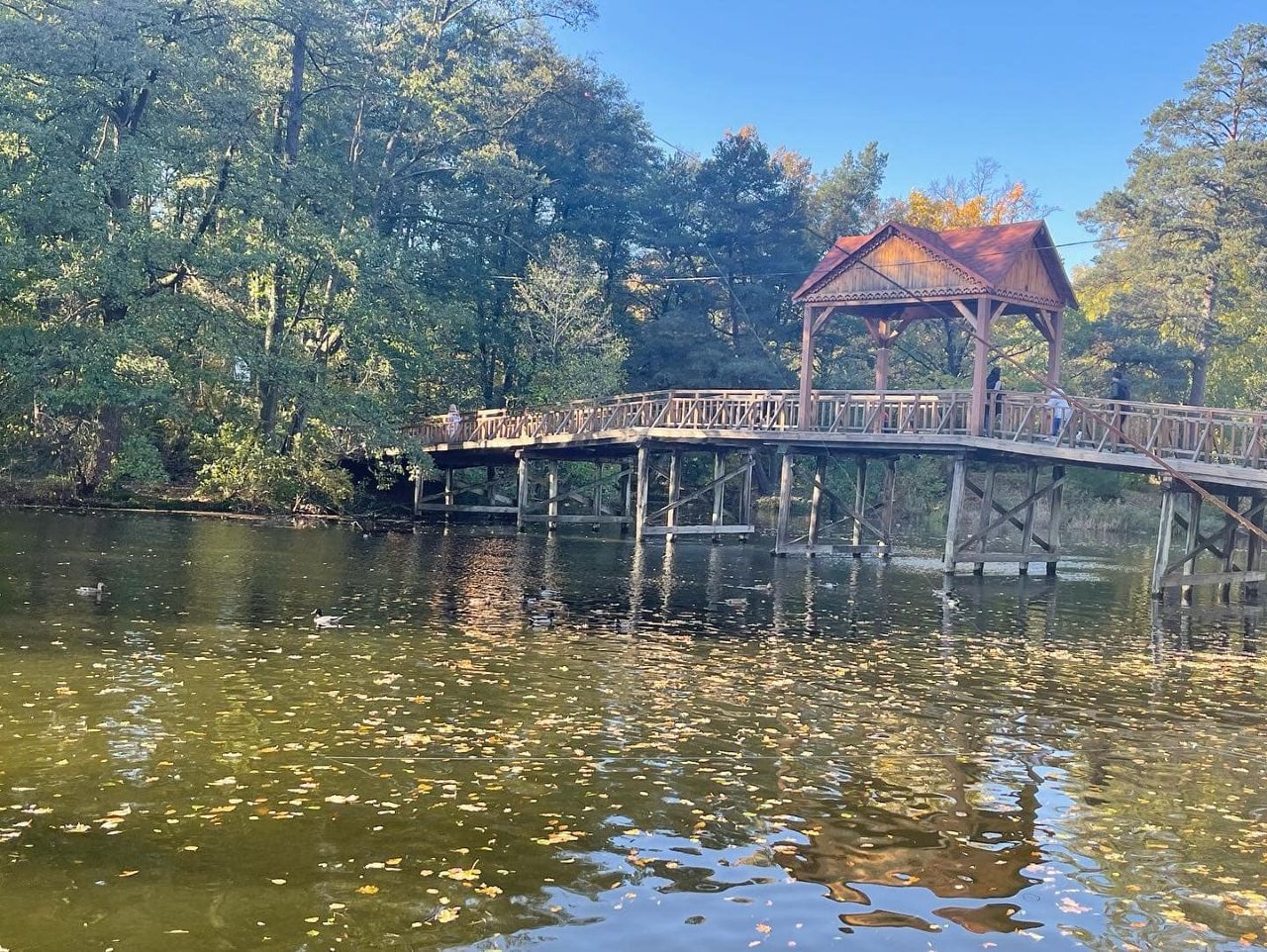 Де розташована Пуща-Водиця