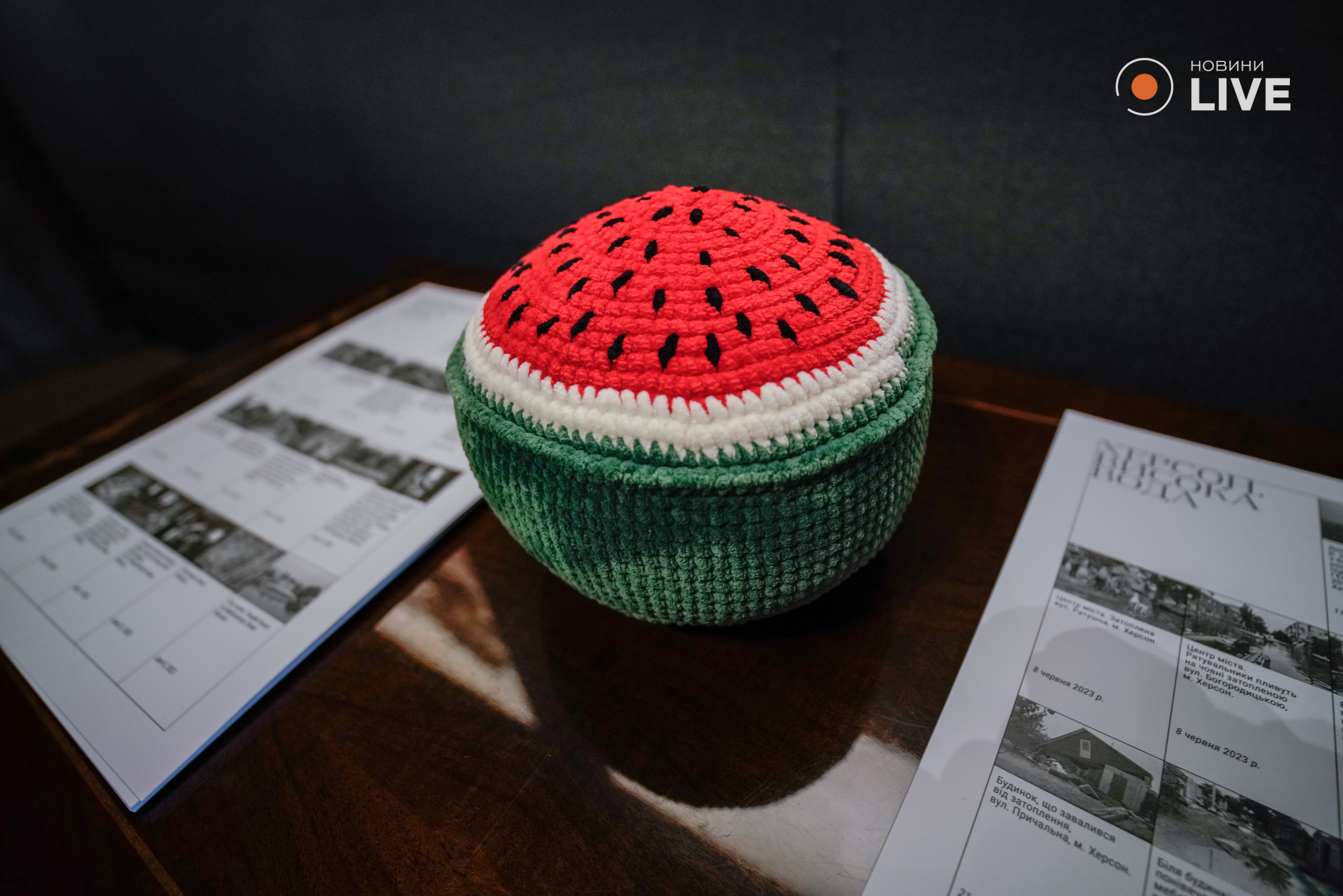 Фото с выставки Виктории Ивлевой "Херсон. Большая вода"